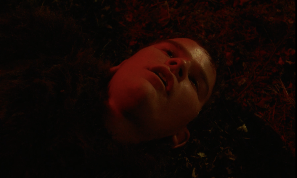 Screenshot 2026-03-15 at 15.19.31